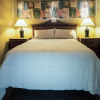 Отель Tuscany Manor Suites - Clothing Optional, фото 5