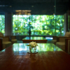 Отель Fujiya Ryokan, фото 42