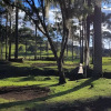 Отель Cabana Pequeno Bosque Com Vista - o Rio, à 15 km da cidade, фото 23