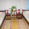 Отель Bed and Breakfast Amfora, фото 7