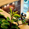 Отель Quo Vadis Hotel, фото 15