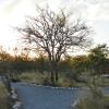 Отель Etosha Village, фото 47