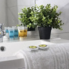 Отель Nice Cute Apartment  in the Center of Athens, фото 15