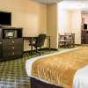 Отель Comfort Inn Whitehall near Michigan's Adventure, фото 6