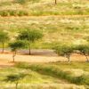 Отель Solitaire Desert Farm, фото 12