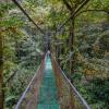 Отель Heliconias Lodge and Rainforest, фото 14