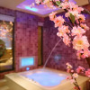 Отель Sato Castle Motel, фото 13