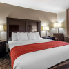 Отель Comfort Inn, фото 5