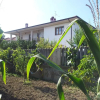 Отель B&B La Casa di Angelica, фото 9