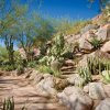 Отель The Canyon Suites at The Phoenician, Luxury Collection, фото 23