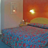 Отель Forster Palms Motel, фото 4