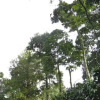 Отель Coffee Trails Finca Las 2mm, фото 40