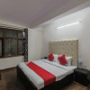 Отель OYO 22806 Flagship Hari Palace, фото 4