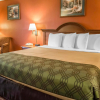Отель Econo Lodge Jacksonville, фото 5
