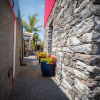 Отель Quinta da Tia Briosa Palheiro I, фото 15