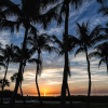 Отель Holiday Inn Sanibel Island, фото 4