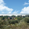 Отель Luxury Farmhouse in Castiglione Del Lago with Swimming Pool, фото 17