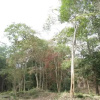 Отель Isanborei homestay 12, фото 6