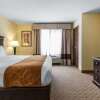 Отель Comfort Suites Cullman I-65 Exit 310, фото 3