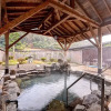 Отель Saginoyu Onsen Yumeland Shirasagi, фото 6
