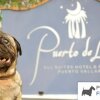 Отель Puerto de Luna Pet Friendly & Family Suites Hotel, фото 20