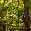 Отель Pacuare Lodge, фото 20