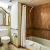 Отель Quality Inn & Suites, фото 8