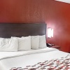 Отель Red Roof Inn & Suites Middletown - Franklin, фото 20