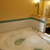 Отель Holiday Inn Express & Suites Detroit North - Troy, an IHG Hotel, фото 6