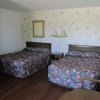 Отель Virden Motel, фото 5