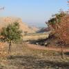 Отель Switzerland In The Arbel, фото 8