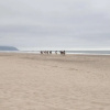 Отель Bridgeview Pacific City, фото 21
