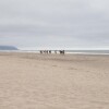Отель Seas The Day Pacific City, фото 12
