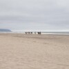 Отель Pacific City Beach House, фото 29