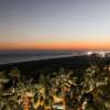 Отель Palisade Palms Beachfront, фото 17