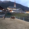 Отель Leitgeb Josef, фото 8