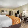Отель Comfort Inn Marion near Downtown & Blue Ridge PKWY, фото 6