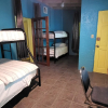 Отель Tillett Gardens Guest House, фото 21