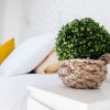 Отель Song of the Sea Apartment, Ocean Balcony & Stairs To the Sea, фото 15