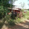 Отель Hornbill Deluxe Hill Resort, Amba Ghat, фото 5