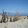 Отель Strandblume Borkum Comfortable Holiday Residence, фото 1