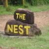 Отель The Nest, фото 13