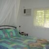Отель Coral Sea Retreat Bed and Breakfast, фото 1