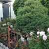 Отель Guest House Domashniy Uyut, фото 11