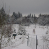 Отель Bed & Breakfast Schlommefurth, фото 10