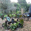 Отель Dovecote House Bed and Breakfast, фото 3