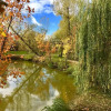 Отель Orelskyi Dvor, фото 17