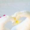 Отель Son Tra Guest House, фото 11