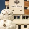 Отель Adler, фото 1