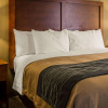 Отель Comfort Inn Elizabeth City near University, фото 3